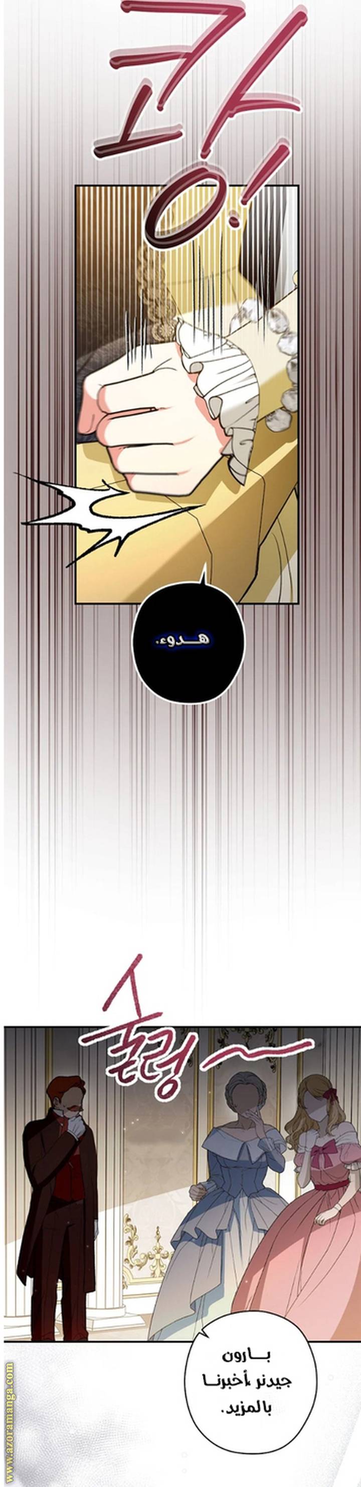 الصفحة 25