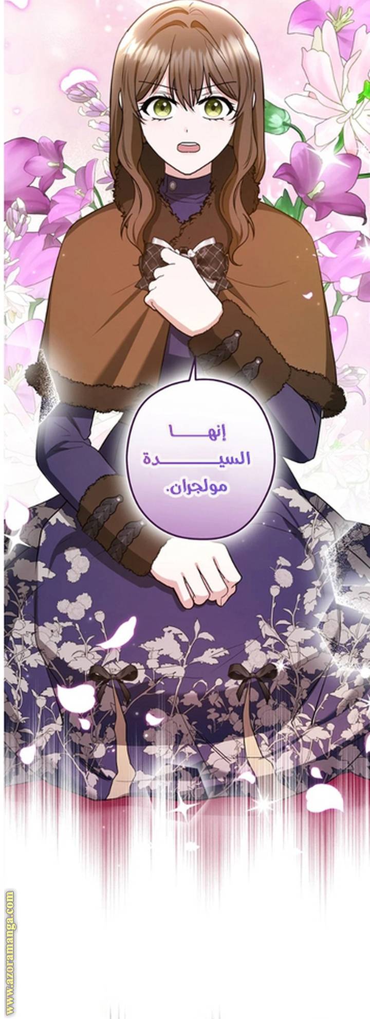 الصفحة 41