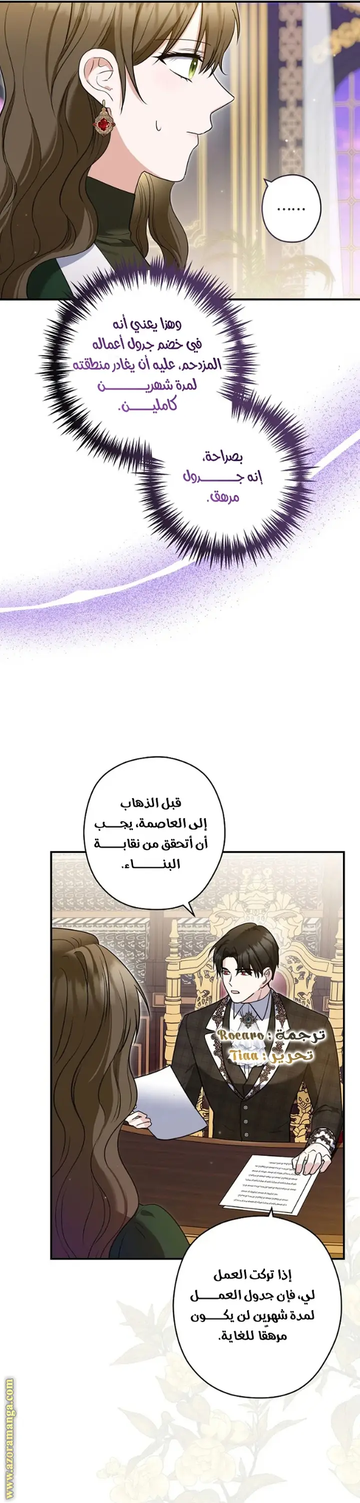 الصفحة 29