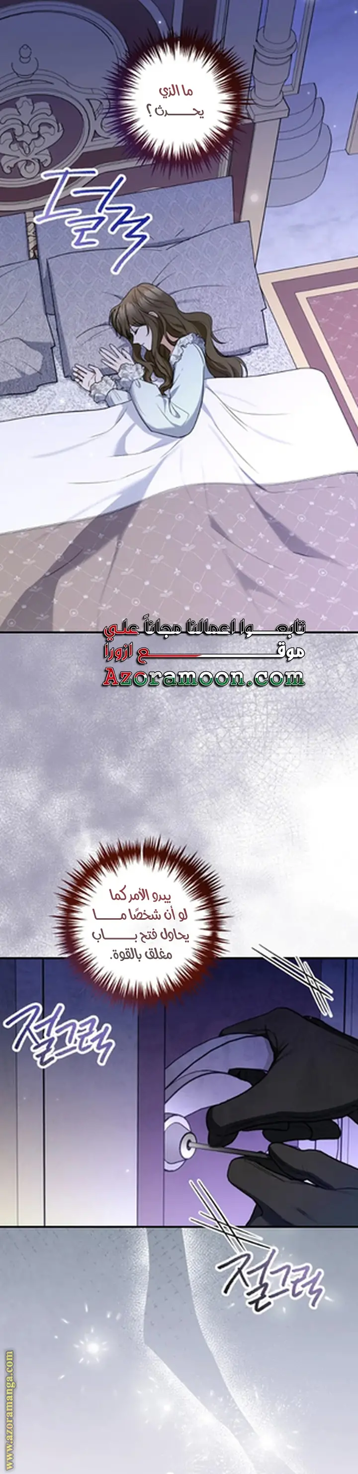 الصفحة 13