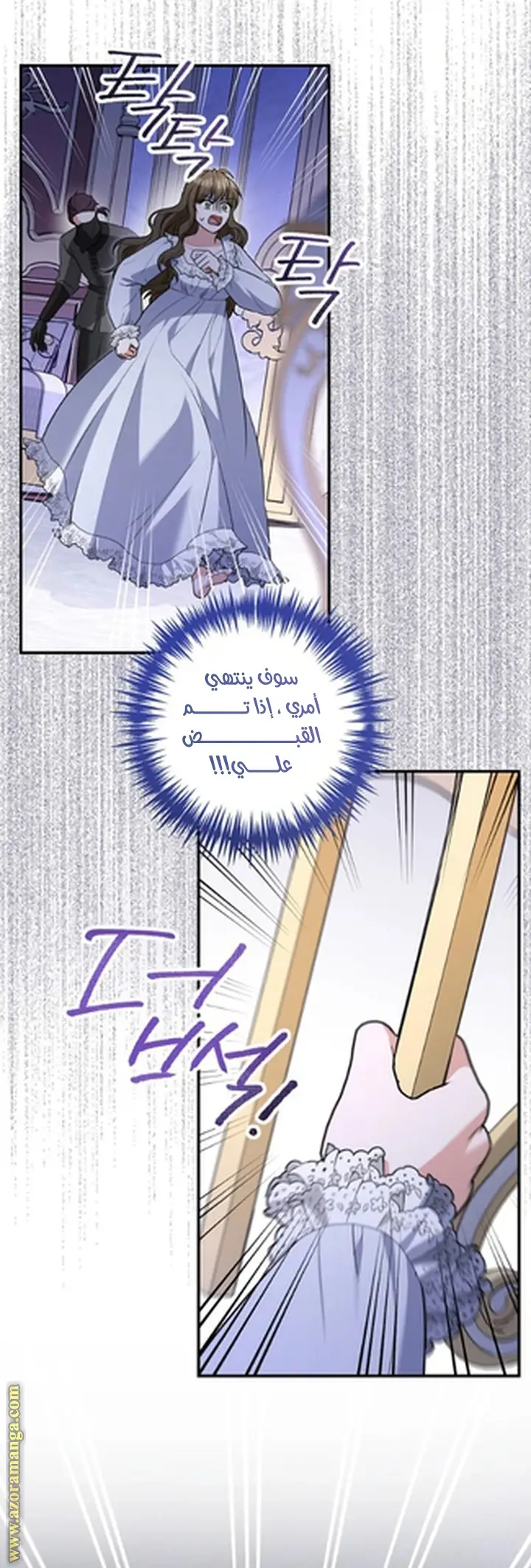 الصفحة 17