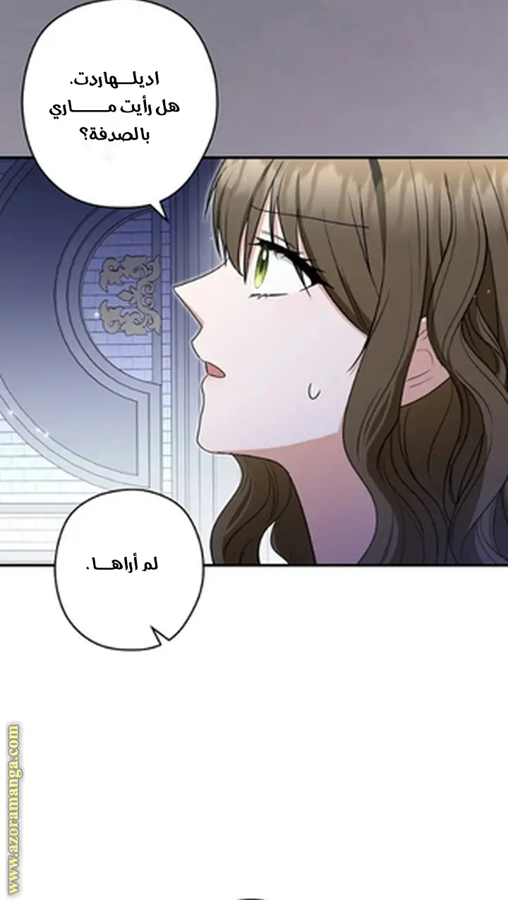 الصفحة 25