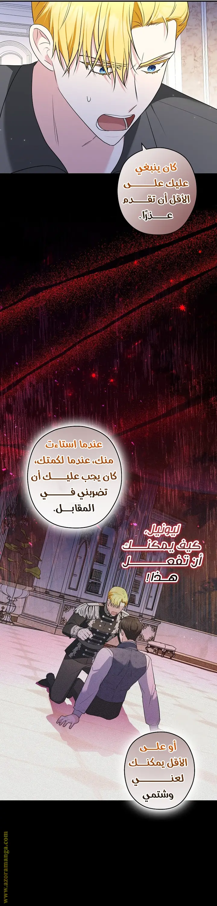 الصفحة 17