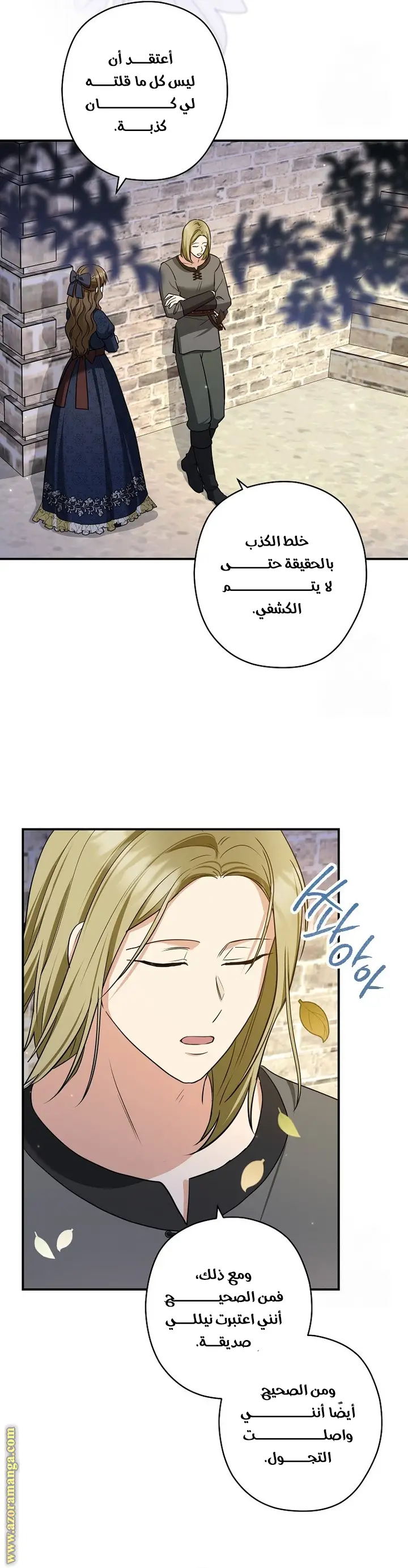 الصفحة 25