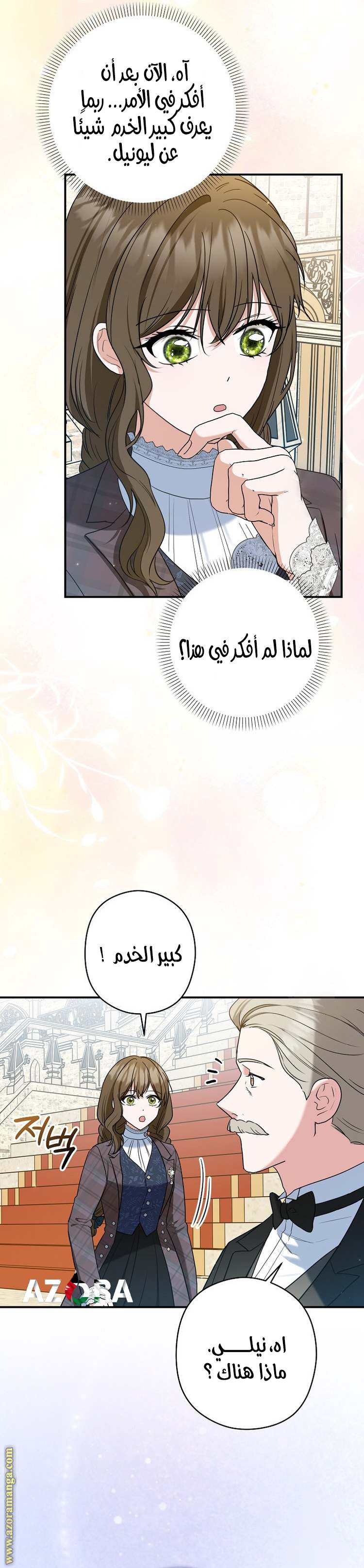 الصفحة 17