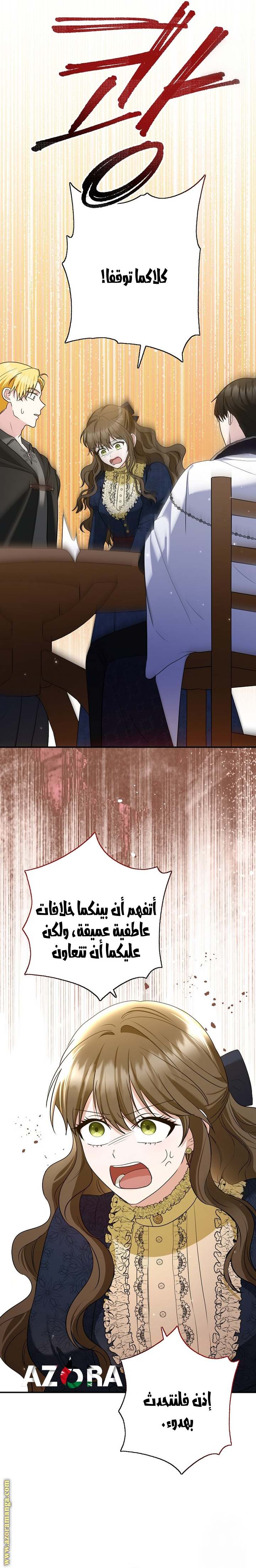 الصفحة 19