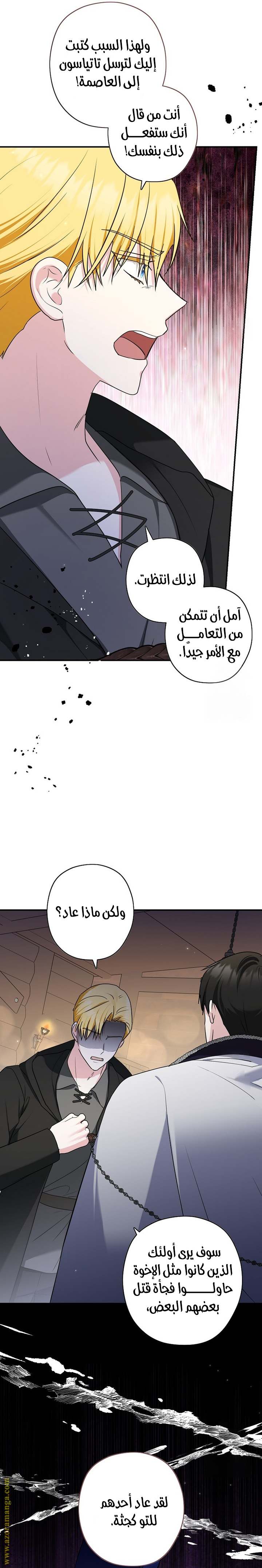 الصفحة 24