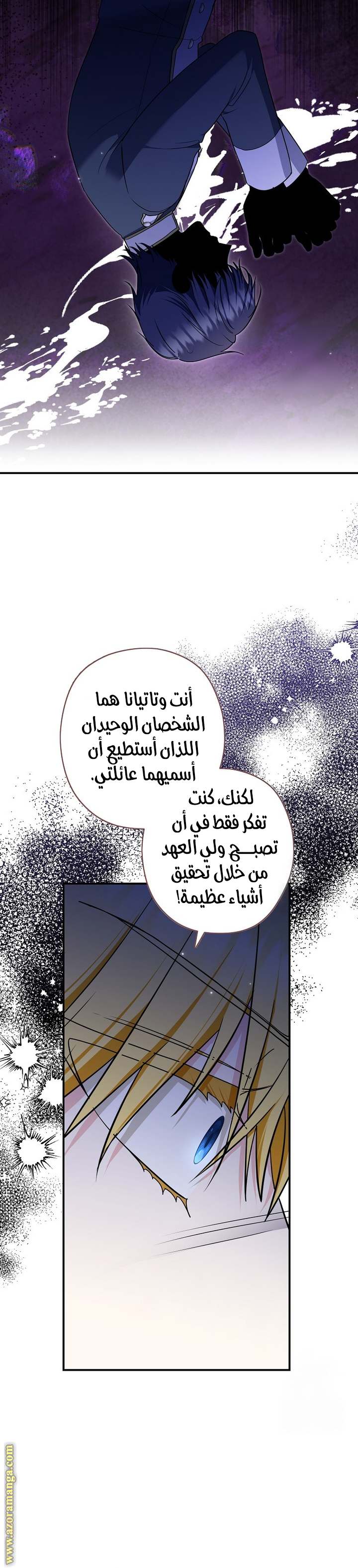 الصفحة 25