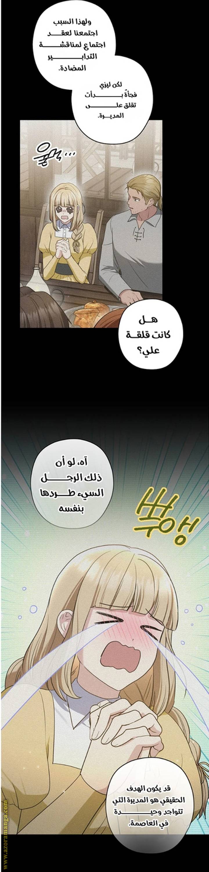 الصفحة 29