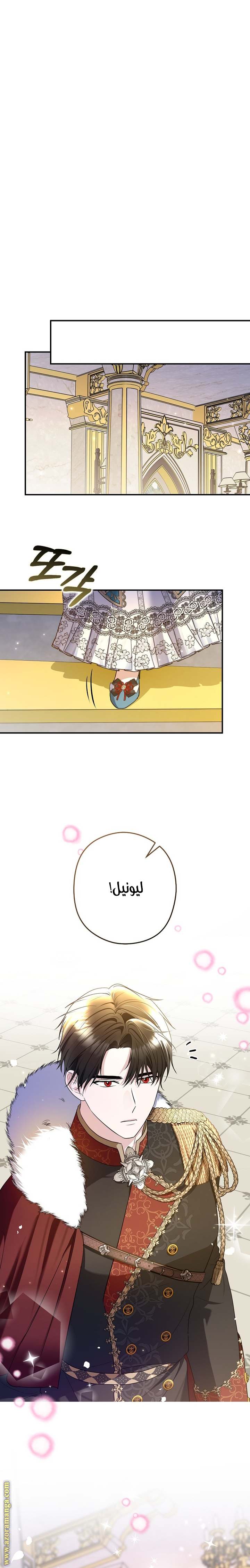 الصفحة 21