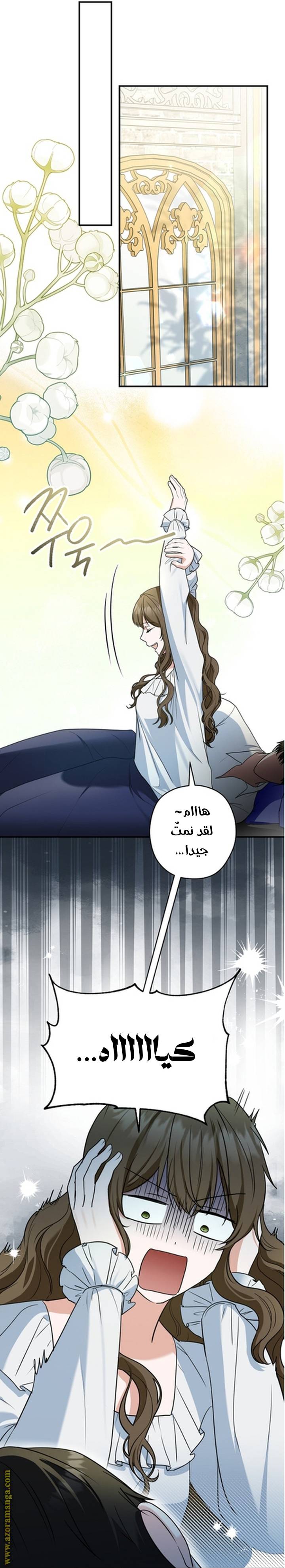 الصفحة 16