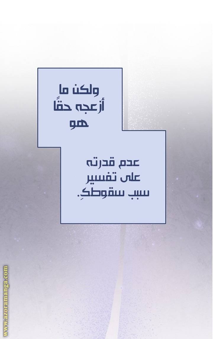 الصفحة 24