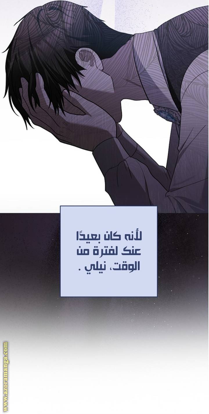الصفحة 25