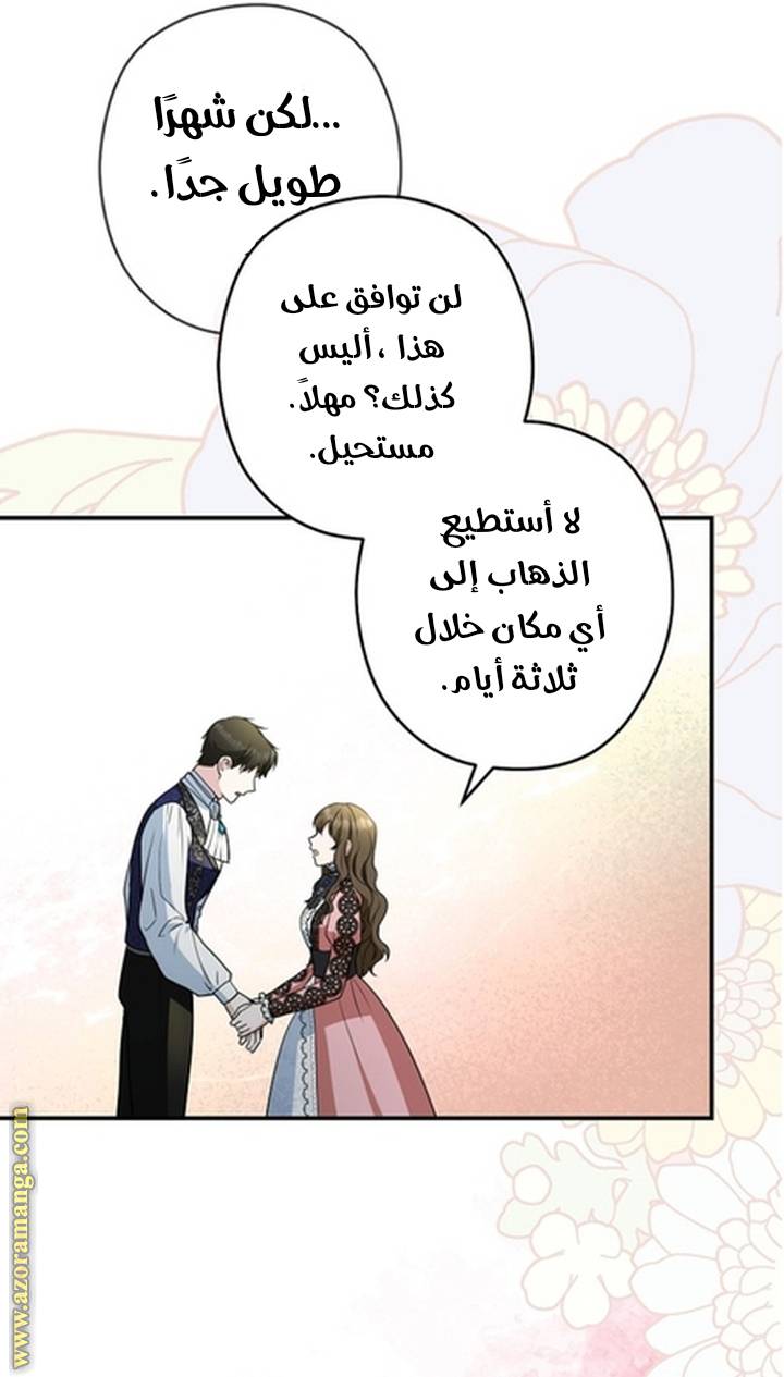 الصفحة 41