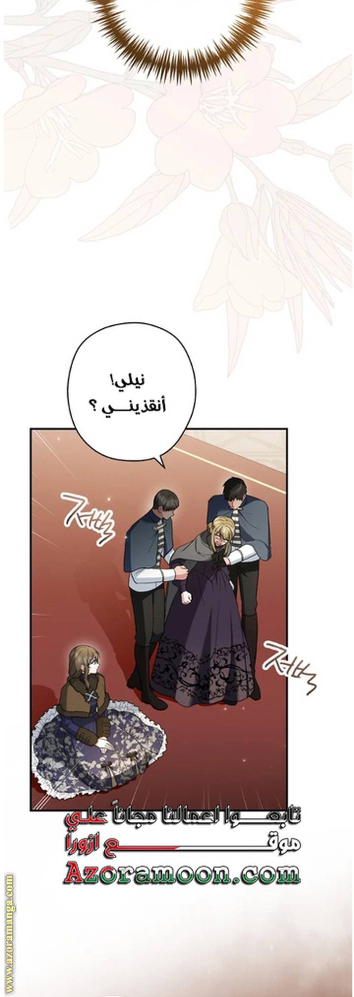 الصفحة 17