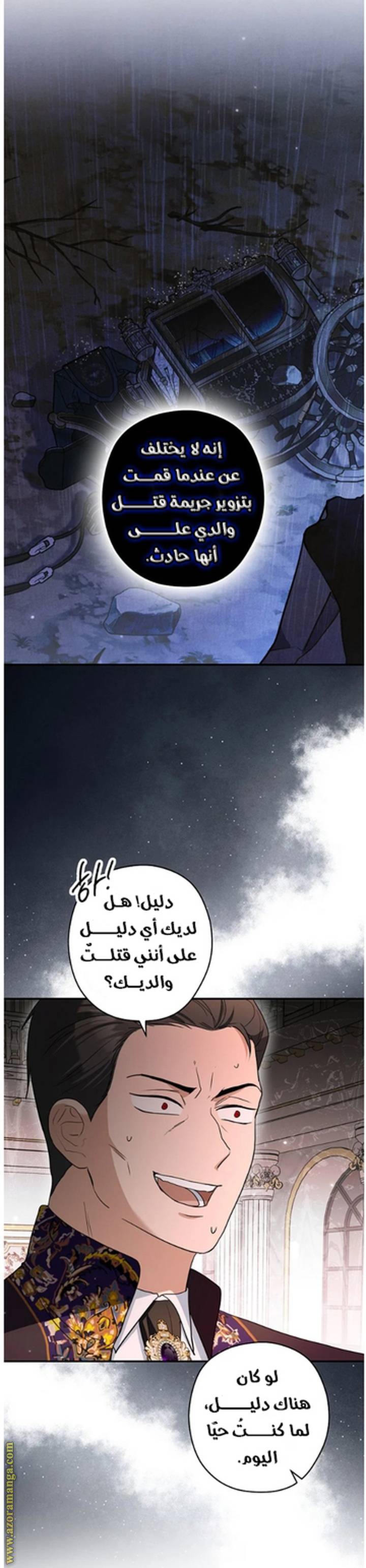 الصفحة 29