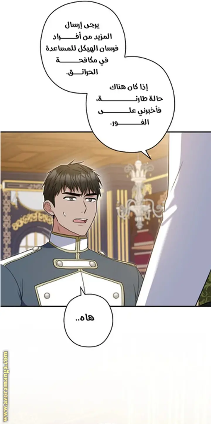 الصفحة 24