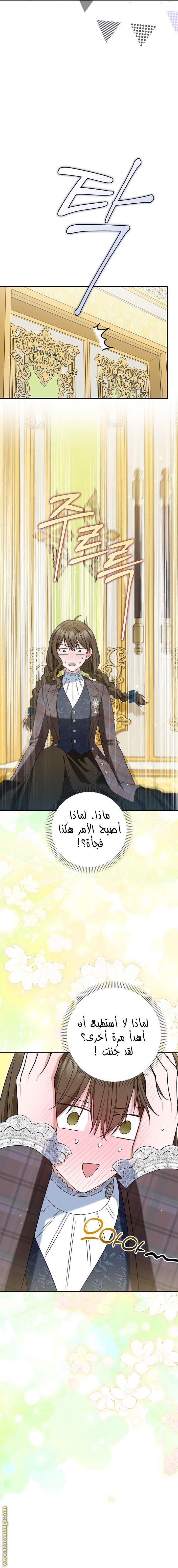الصفحة 11