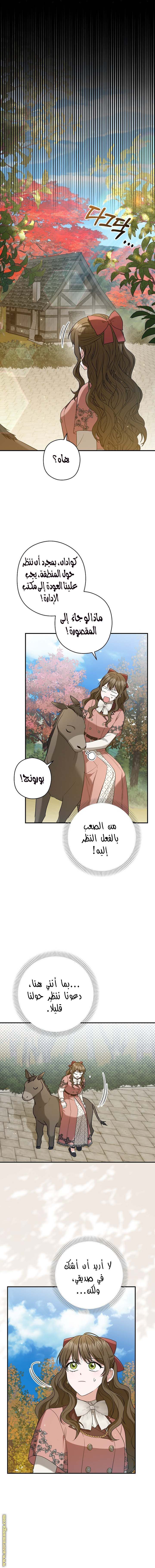 الصفحة 14