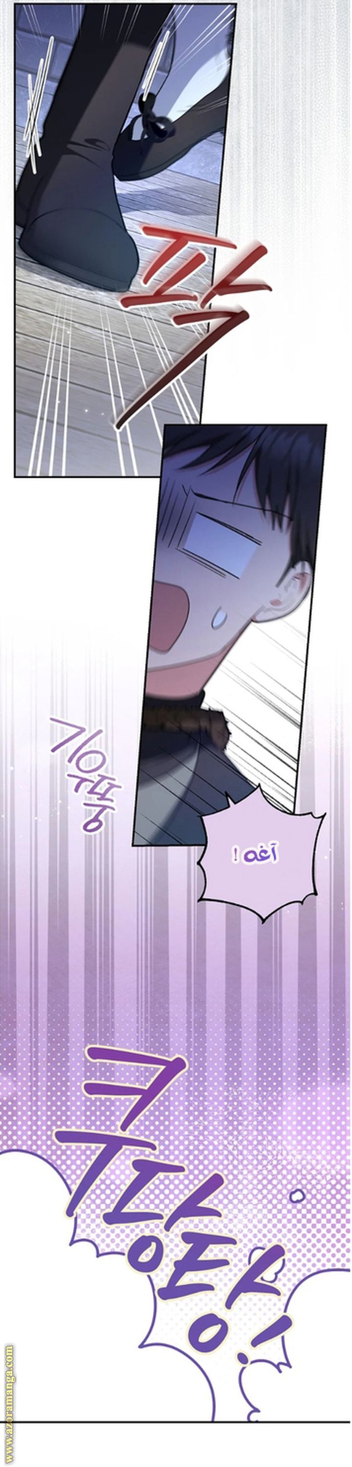 الصفحة 25