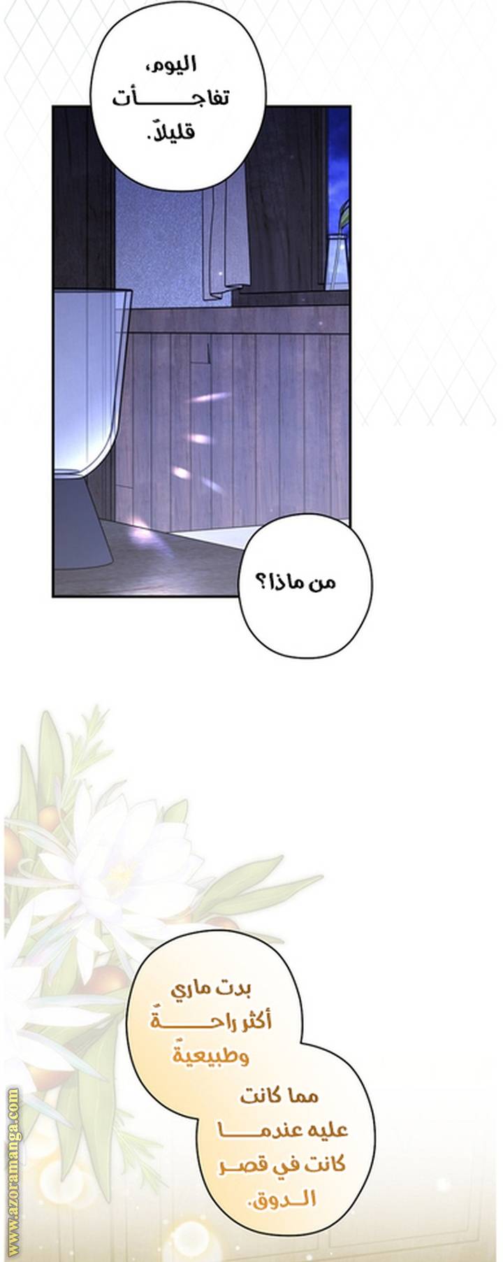 الصفحة 26