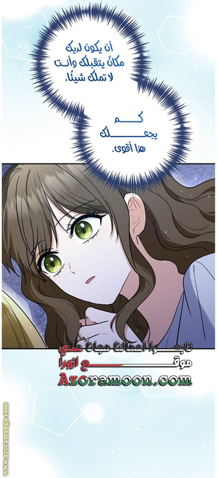 الصفحة 29