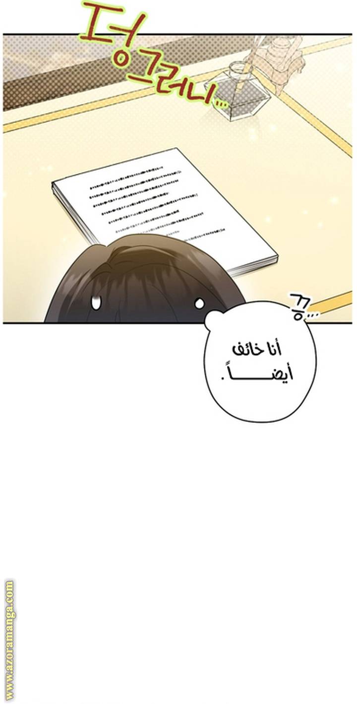 الصفحة 42