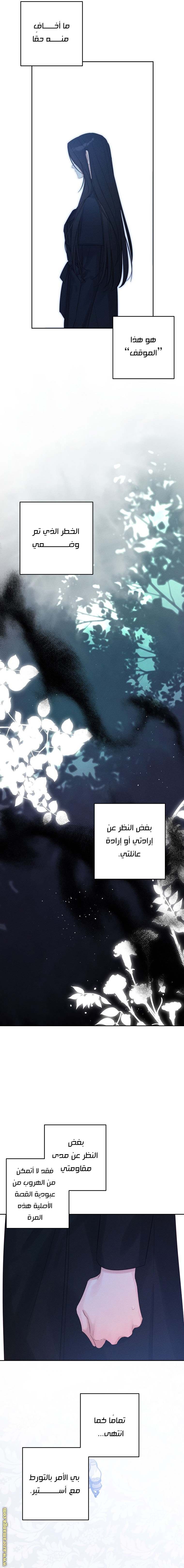 الصفحة 13