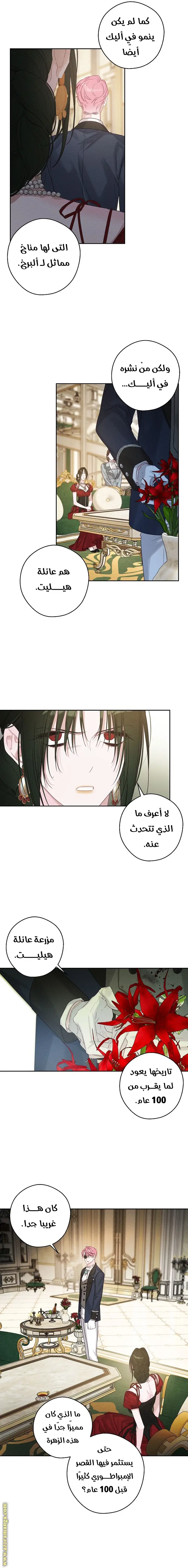 الصفحة 5
