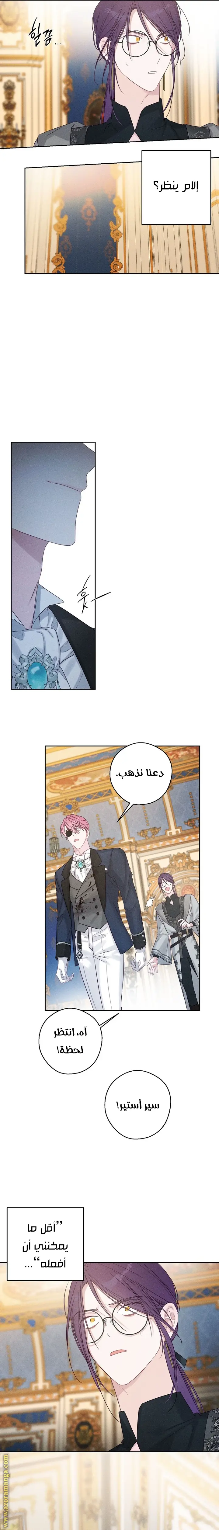 الصفحة 13
