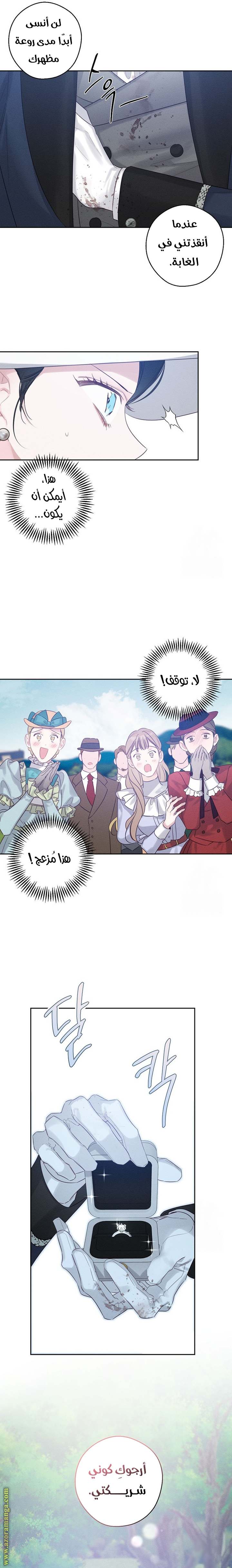 الصفحة 15