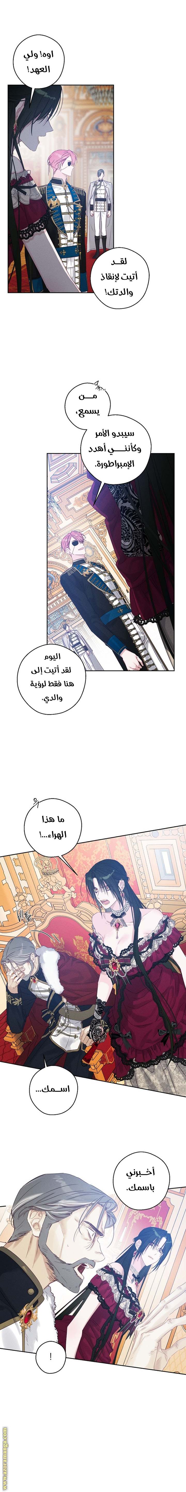 الصفحة 7