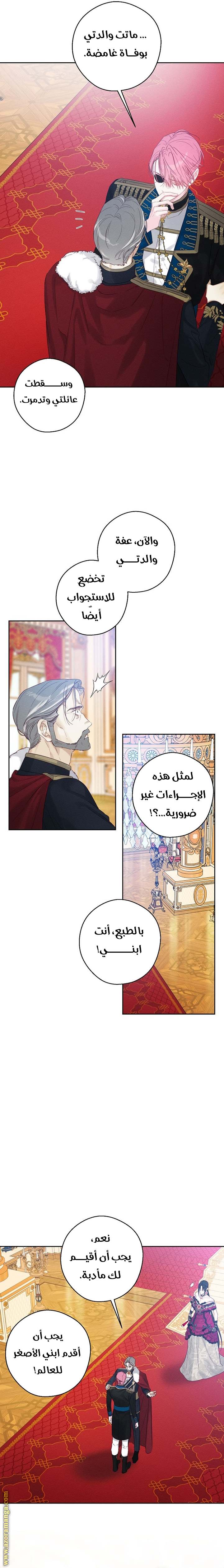 الصفحة 11