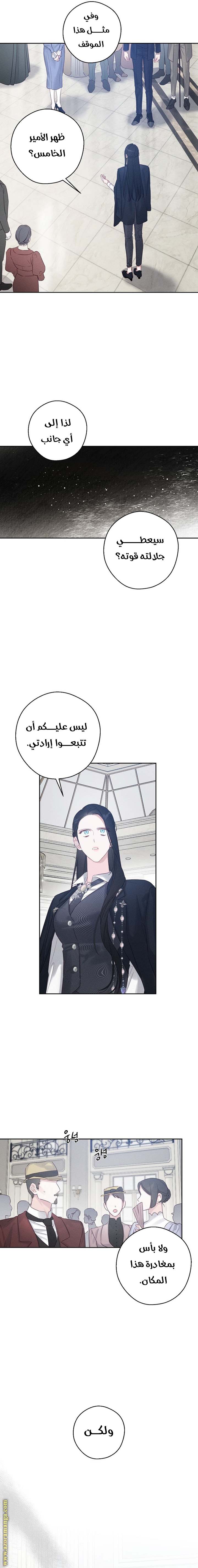الصفحة 13