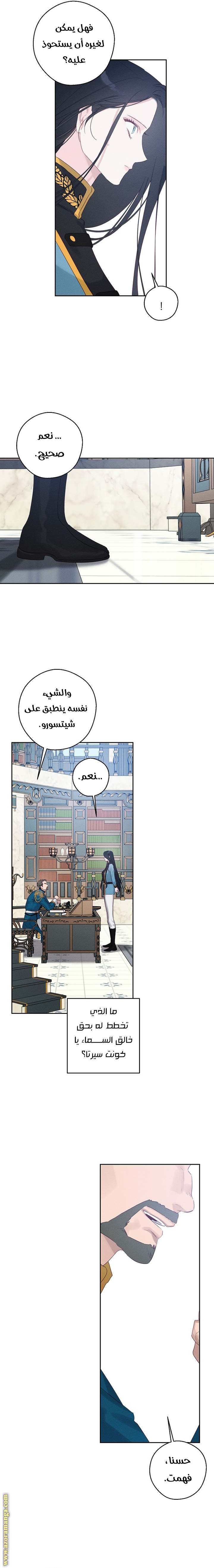 الصفحة 17