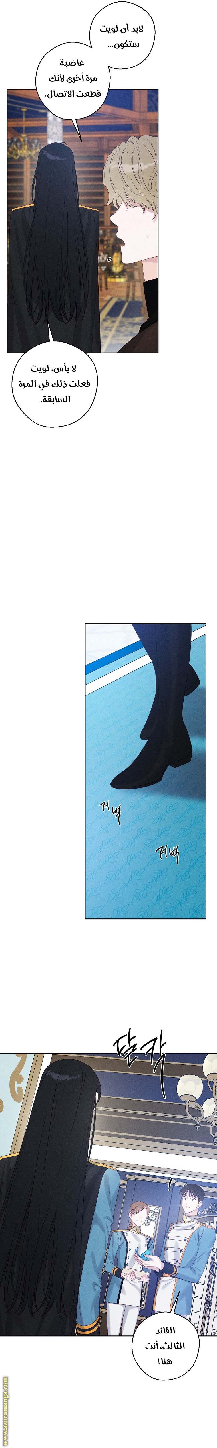 الصفحة 13