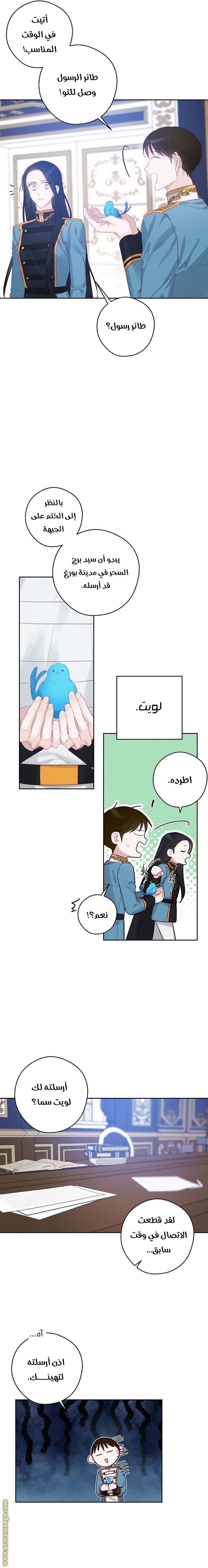 الصفحة 14
