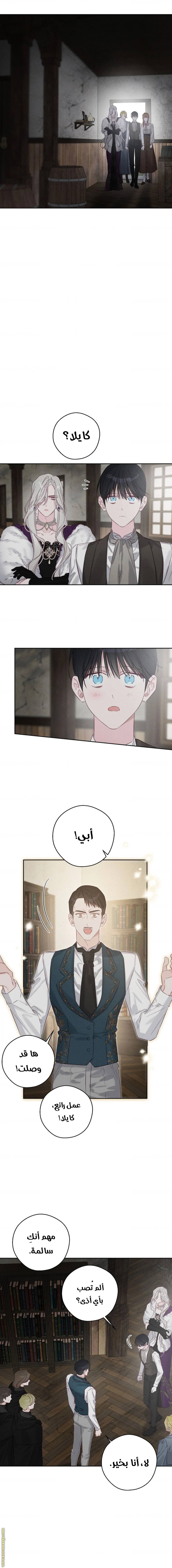 الصفحة 5