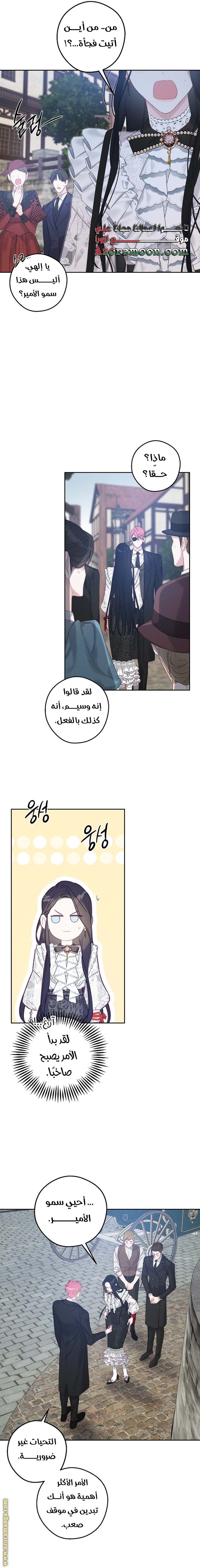 الصفحة 11