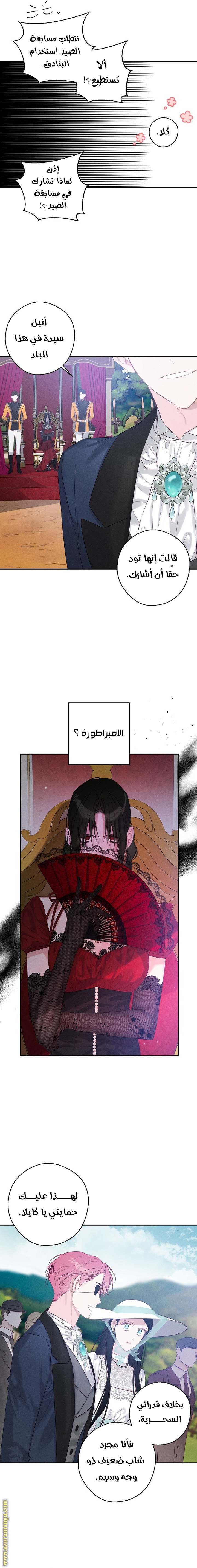 الصفحة 13