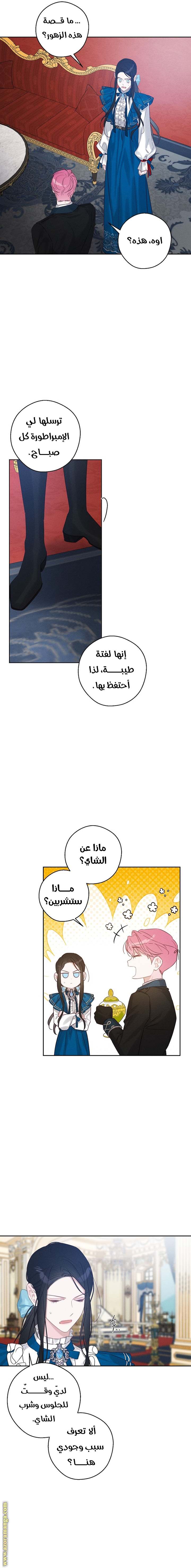 الصفحة 6