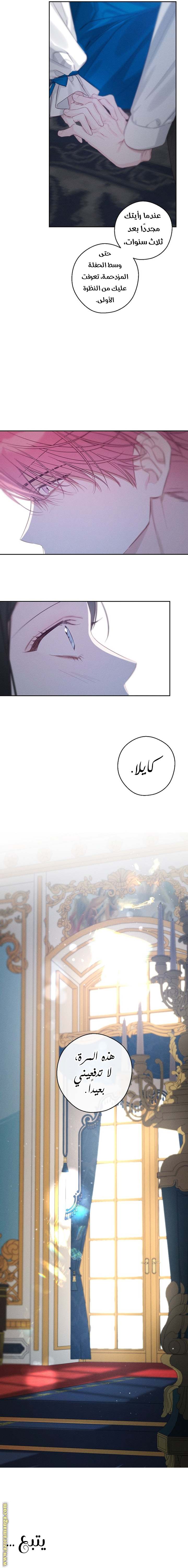 الصفحة 17