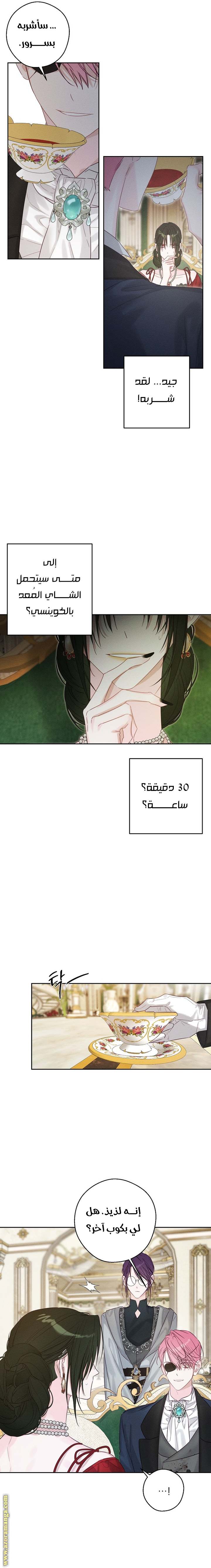 الصفحة 11