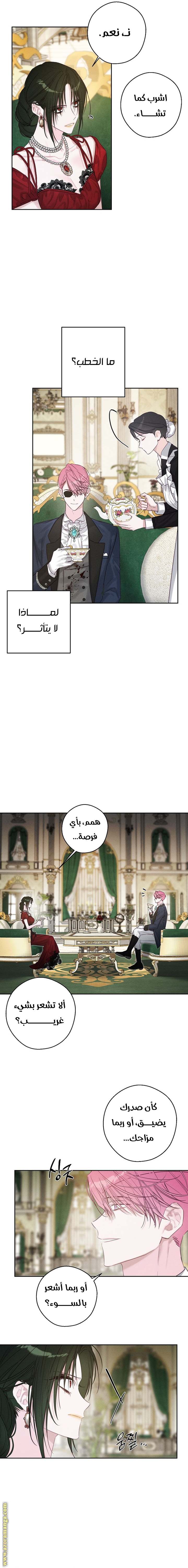 الصفحة 12