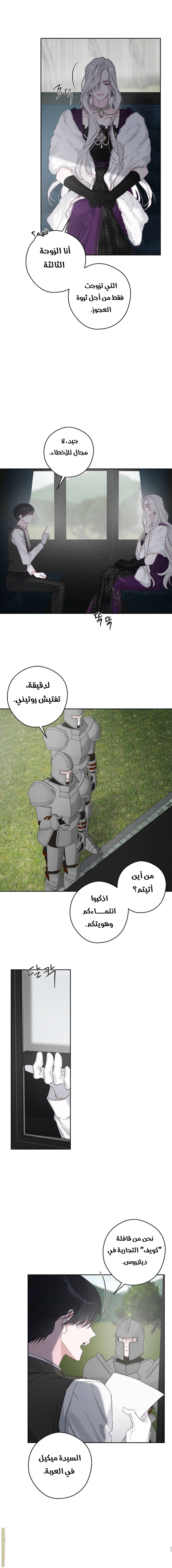 الصفحة 11