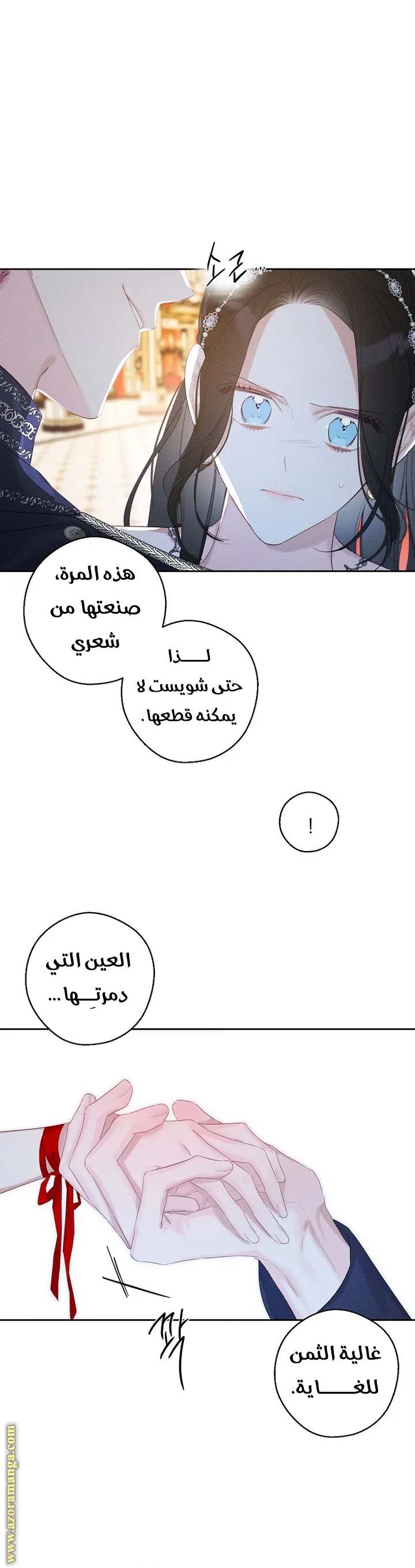 الصفحة 13