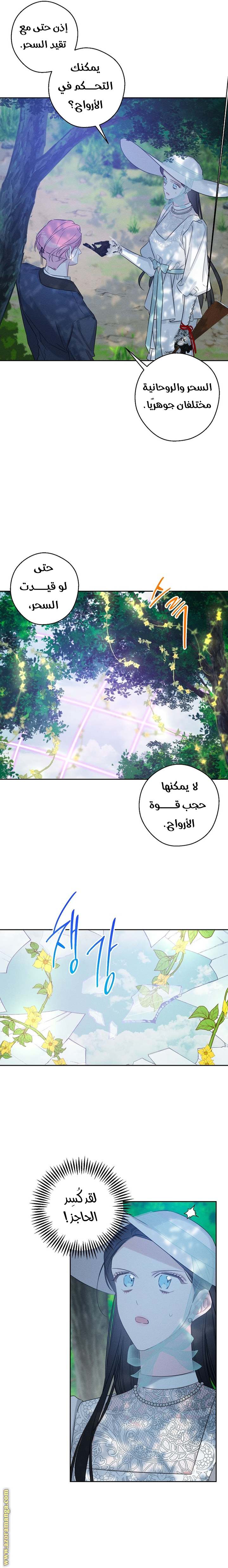 الصفحة 13