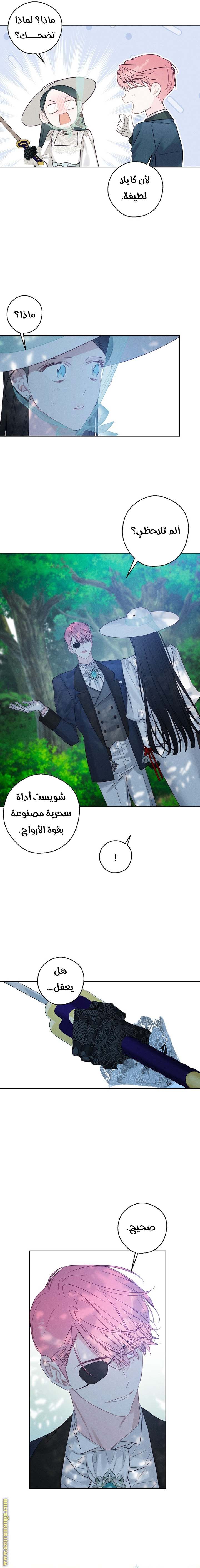 الصفحة 15