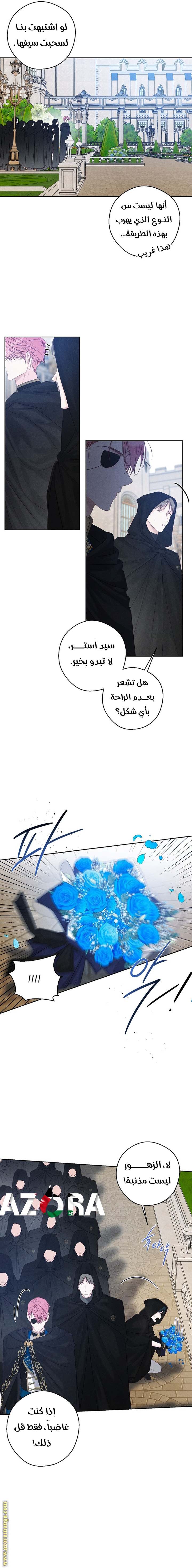 الصفحة 13