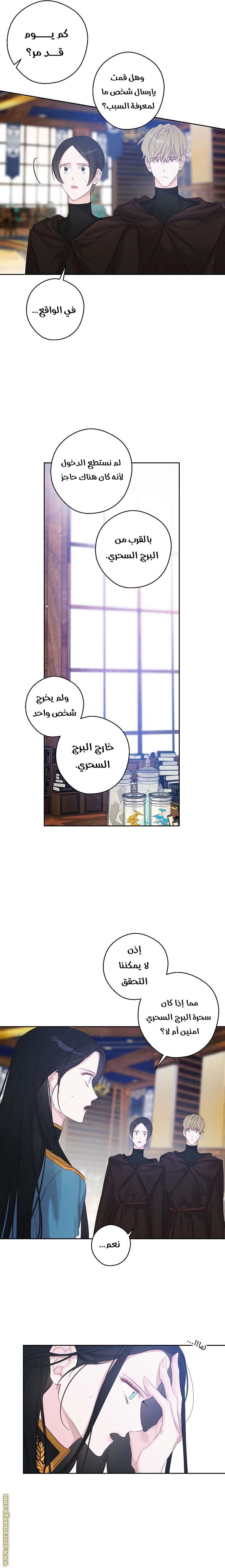 الصفحة 11